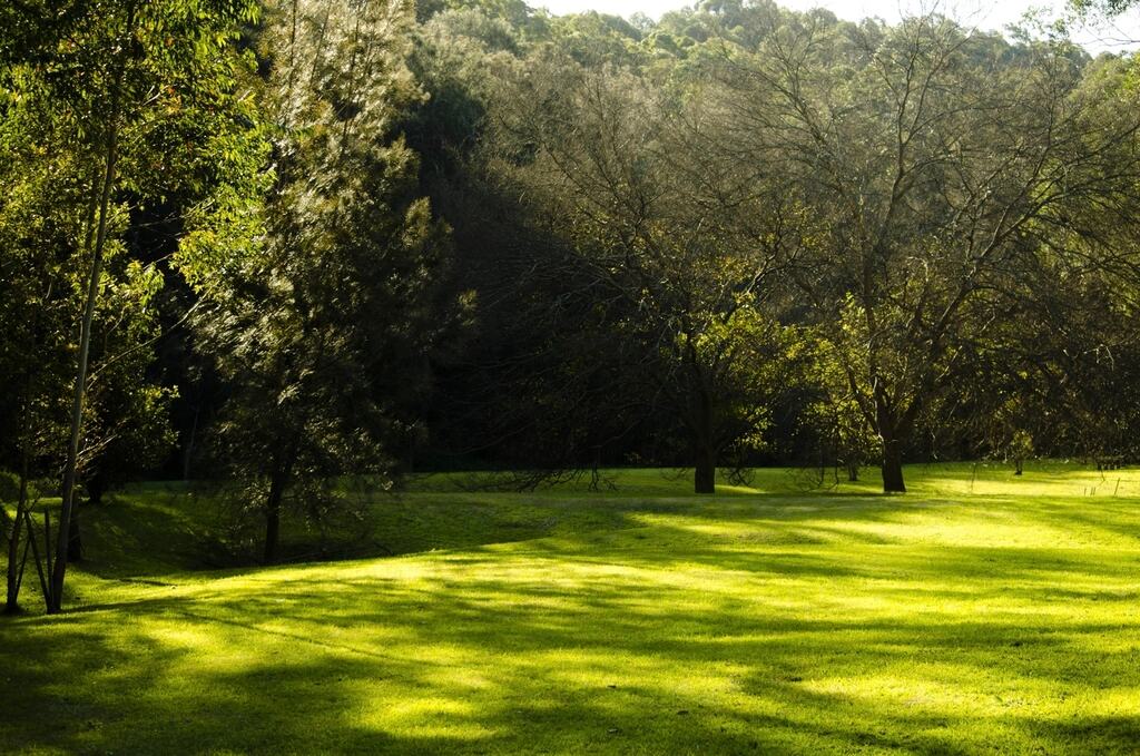 Parque Bosques del Valle, San Pedro Garza García