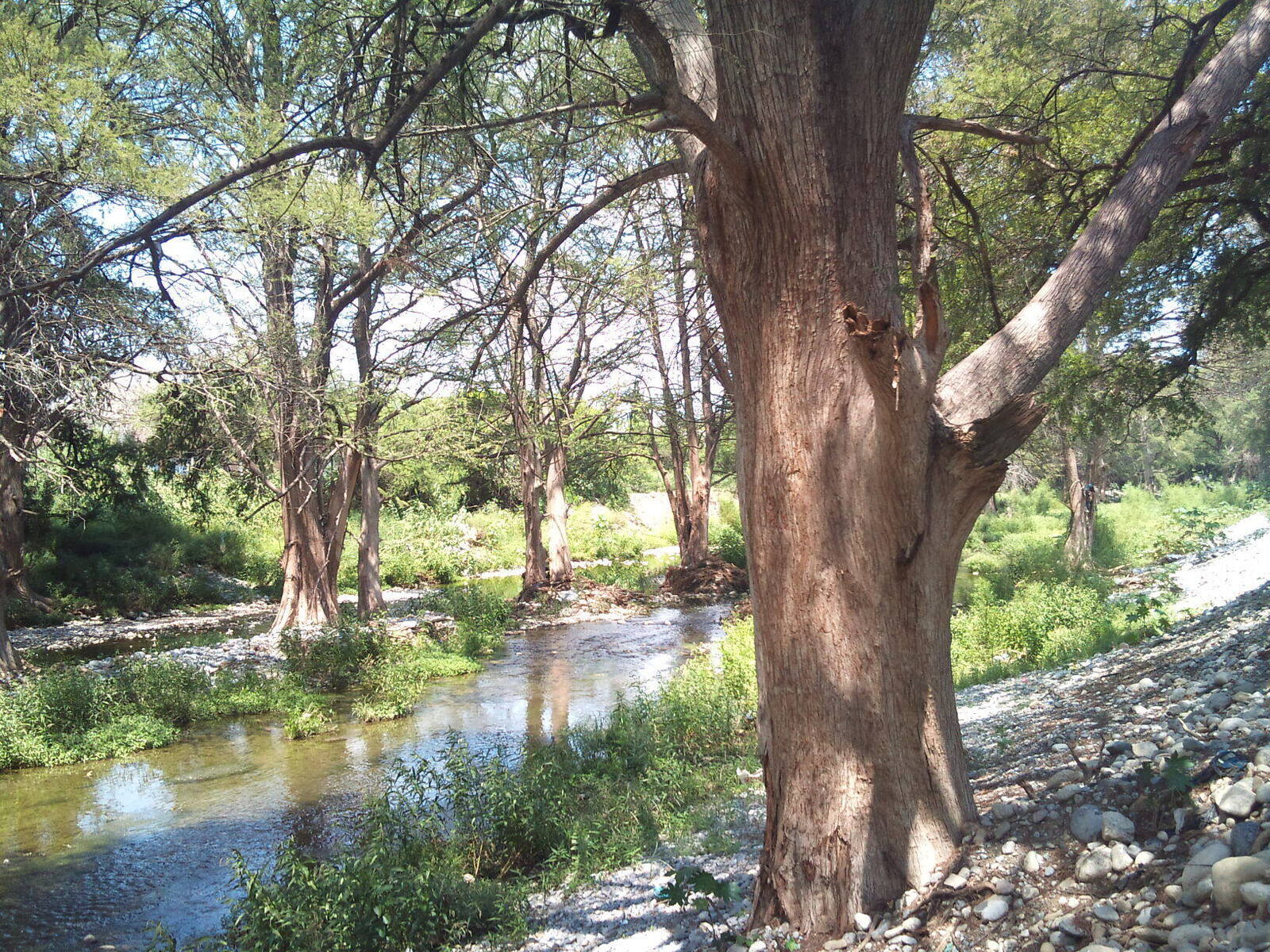 Parque Río La Silla, Guadalupe